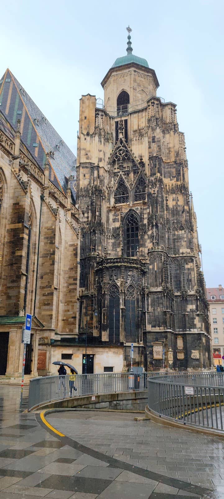 Vertical photo