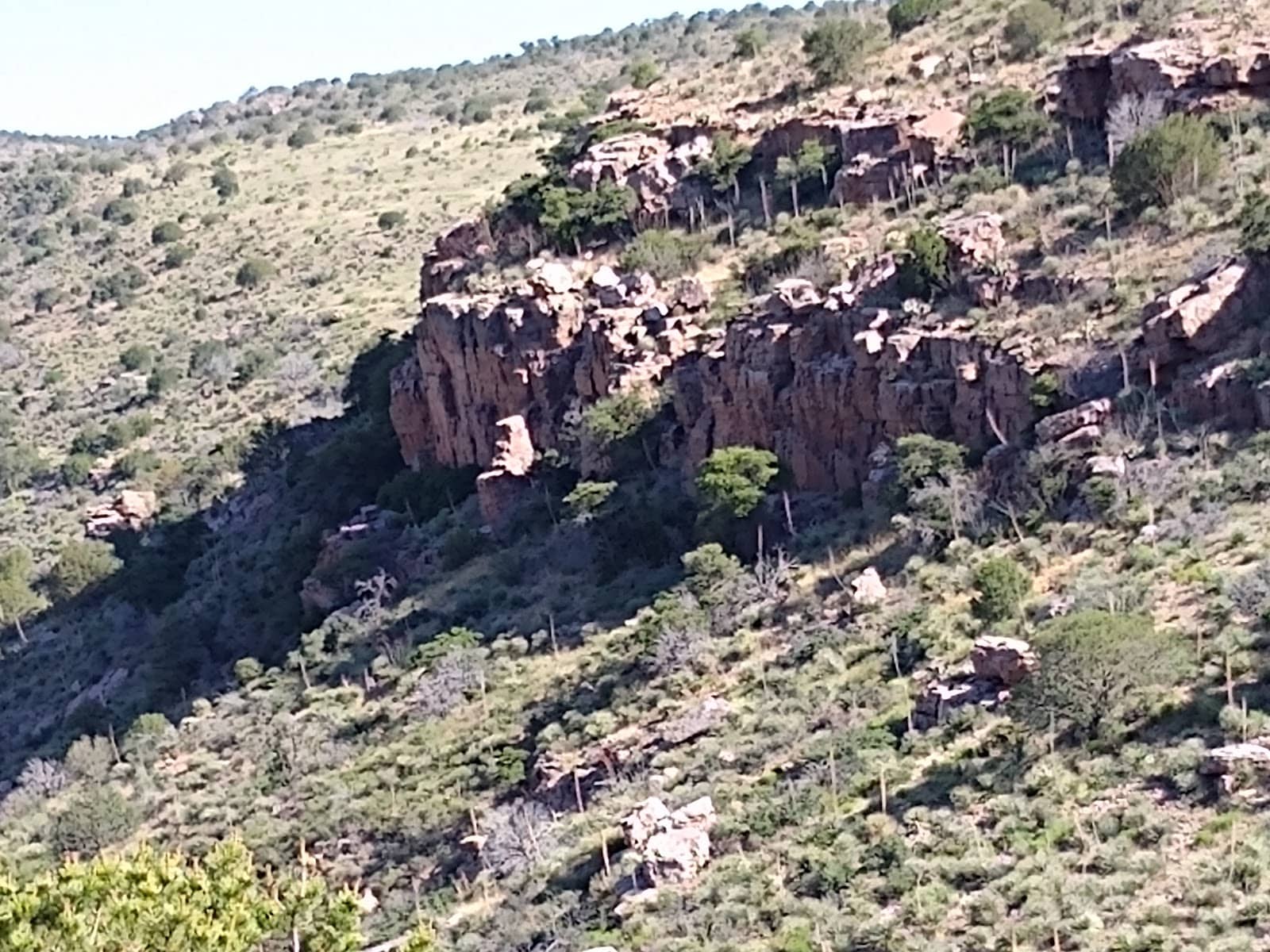 Vertical photo