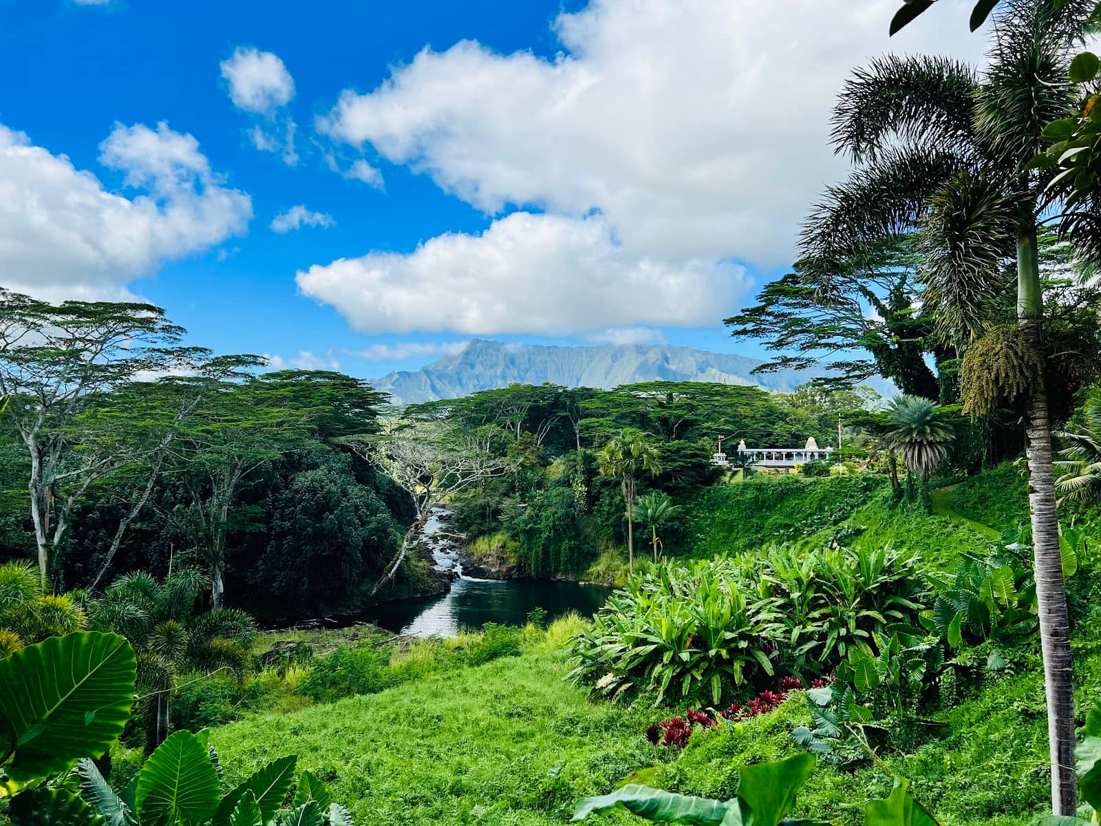 Lush Botanical Gardens
