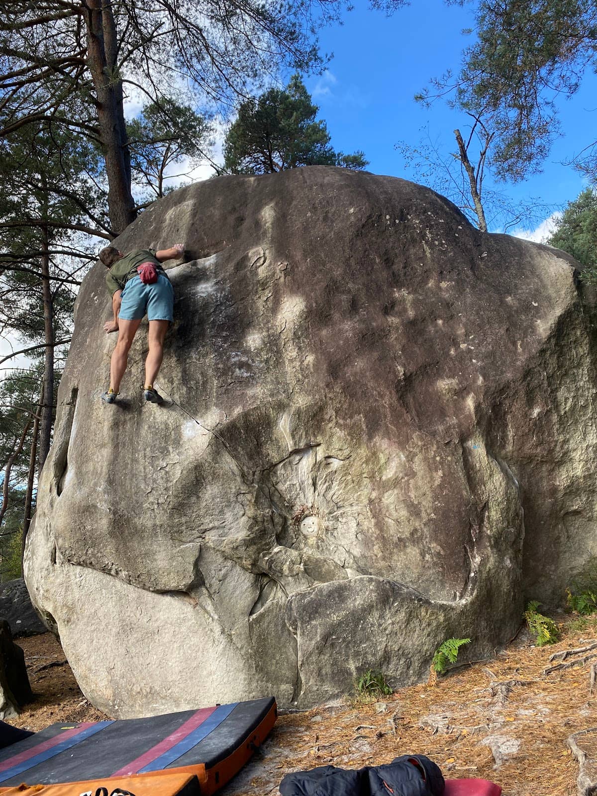 Vertical photo