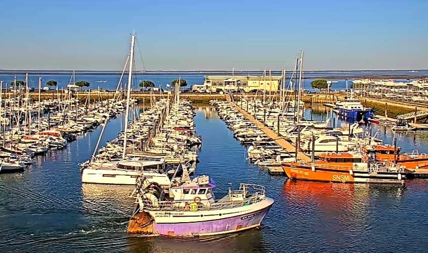 Boat Tours & Excursions