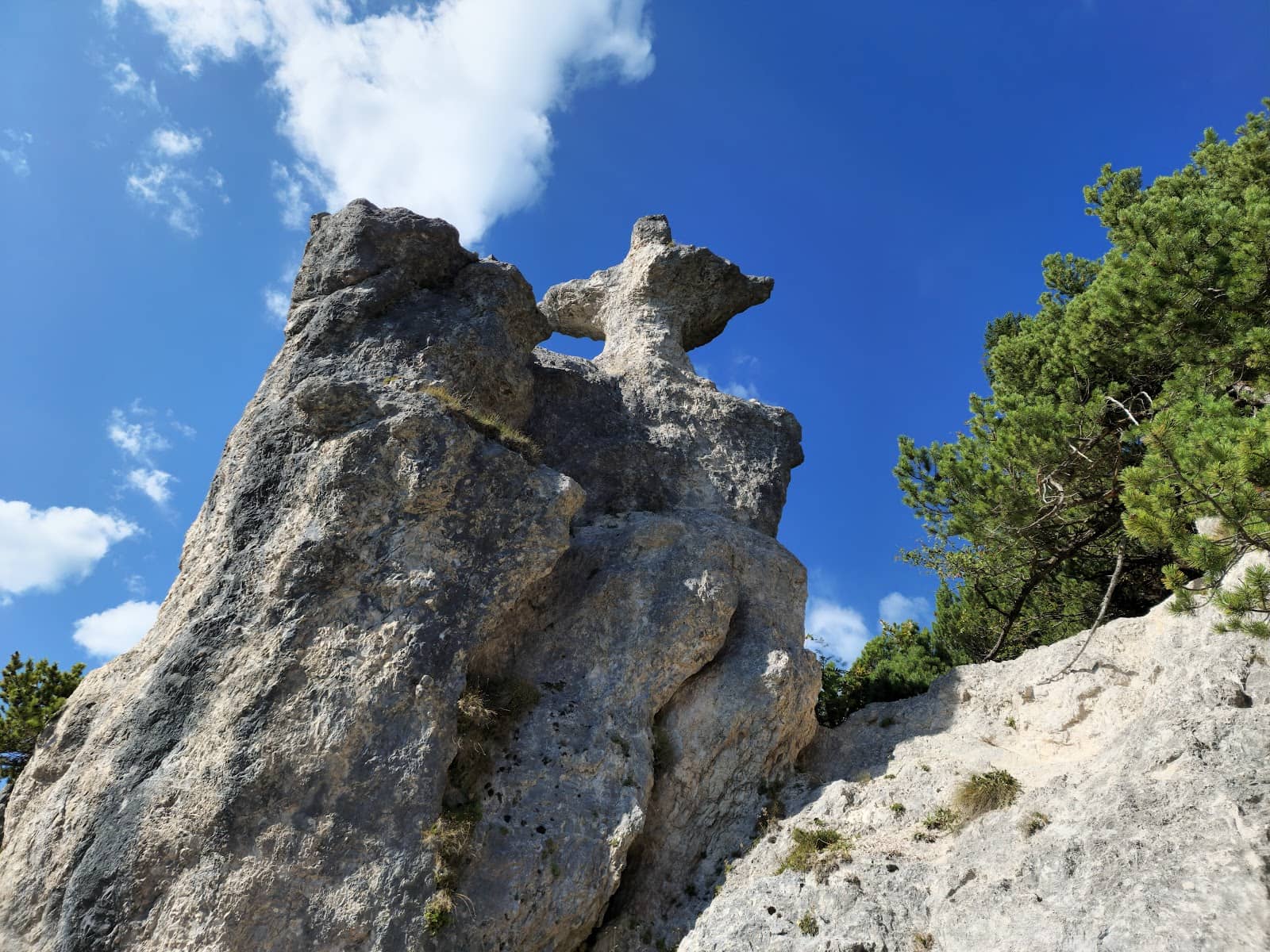 Vertical photo