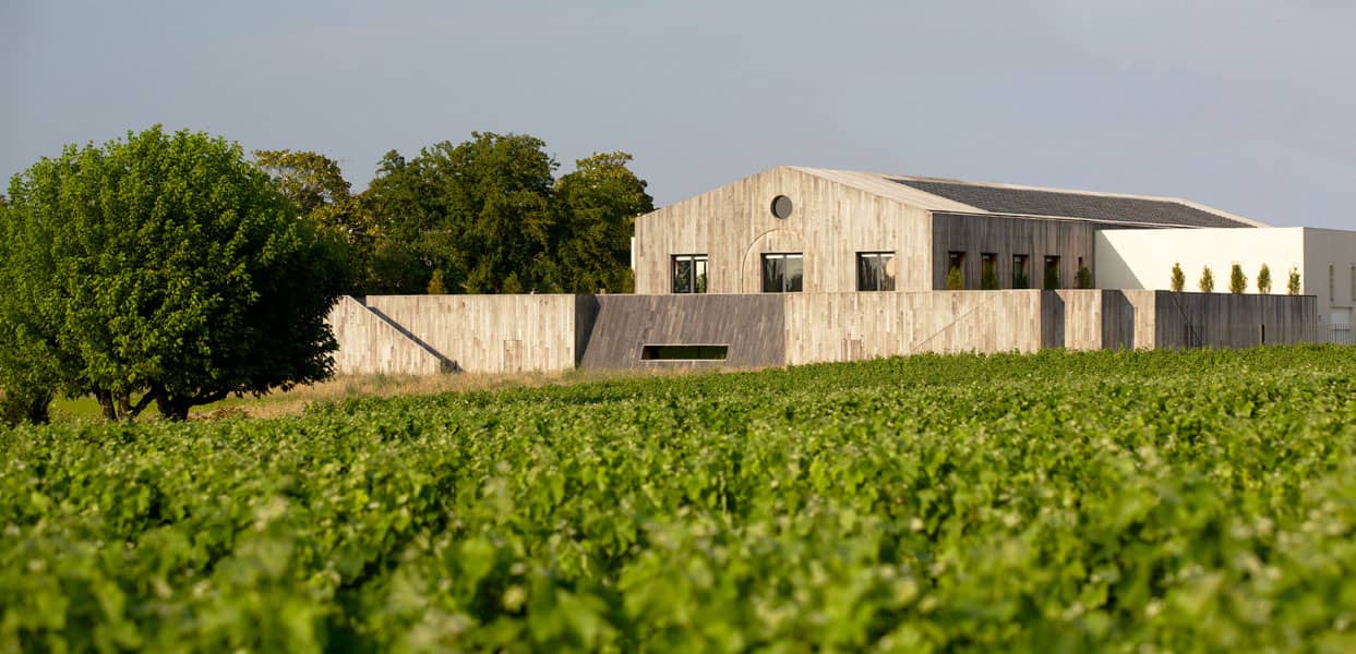 Vineyard Views