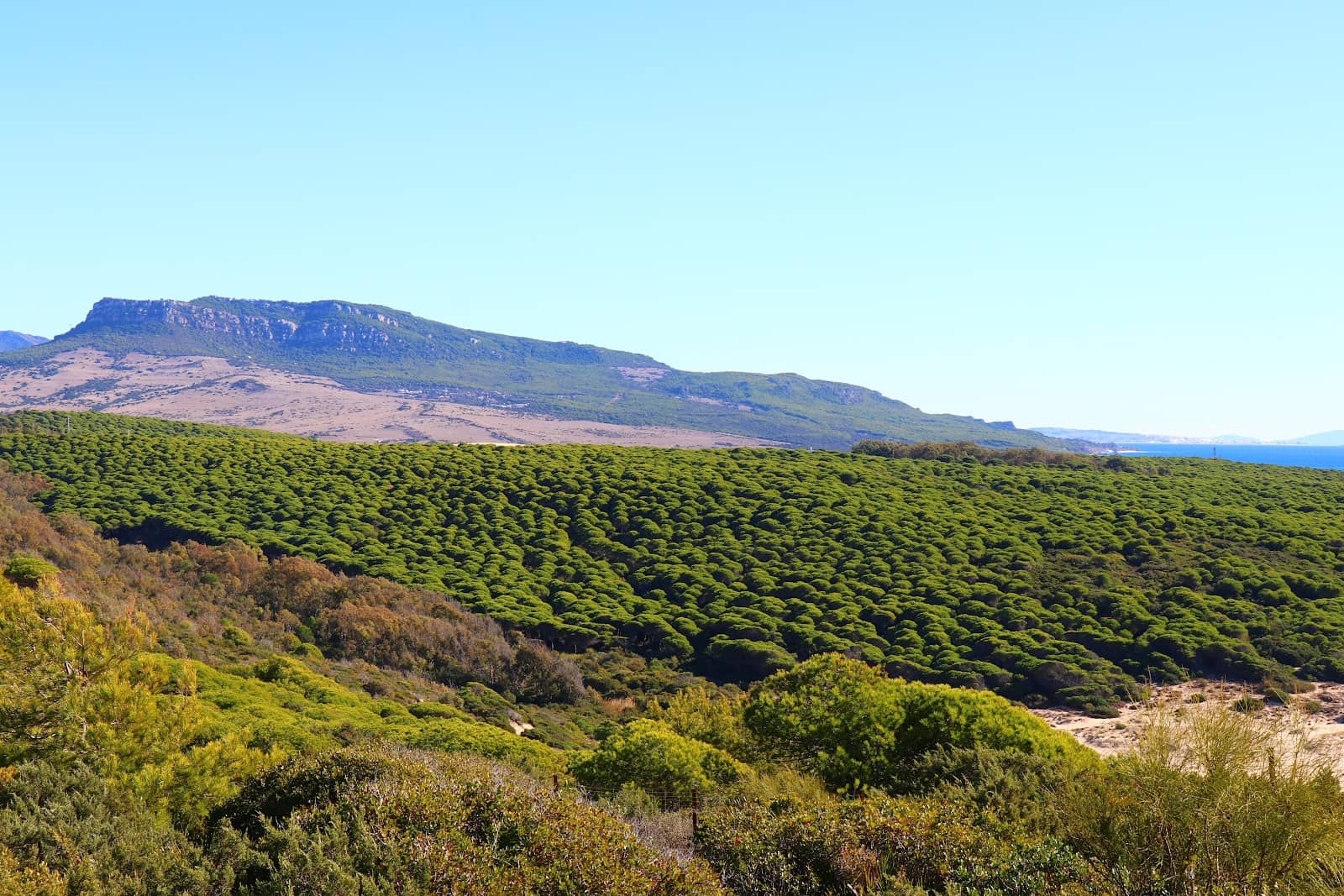 Diverse Hiking Trails
