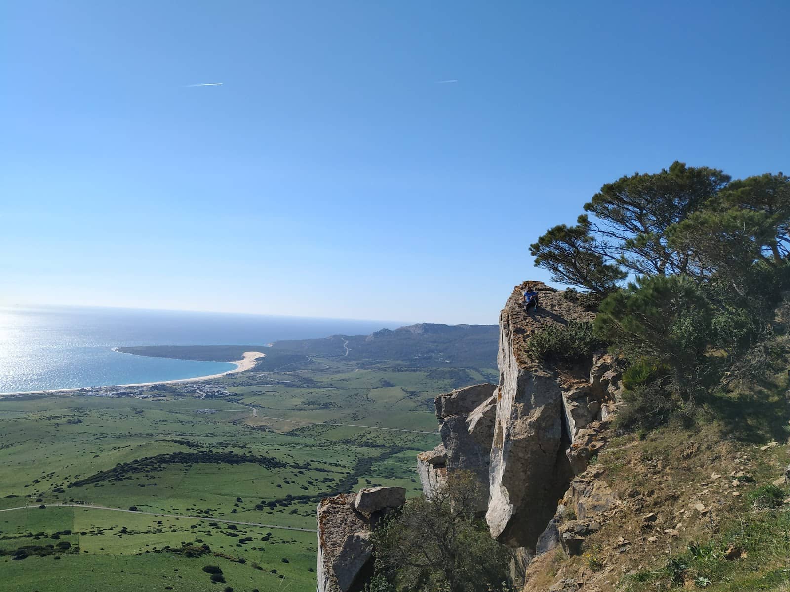 Vertical photo