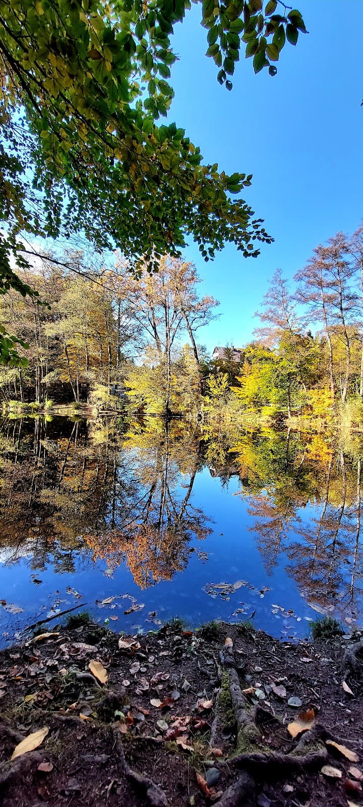 Kreuzbergl Hill and Lakes - Image 1