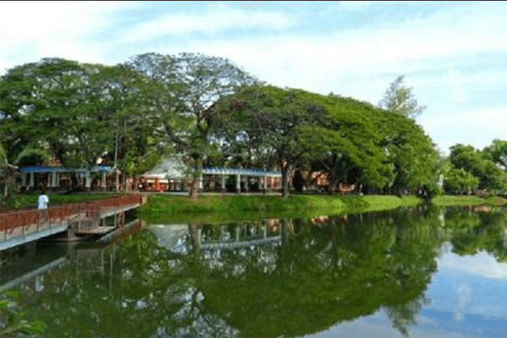 Dedicated Jogging Track