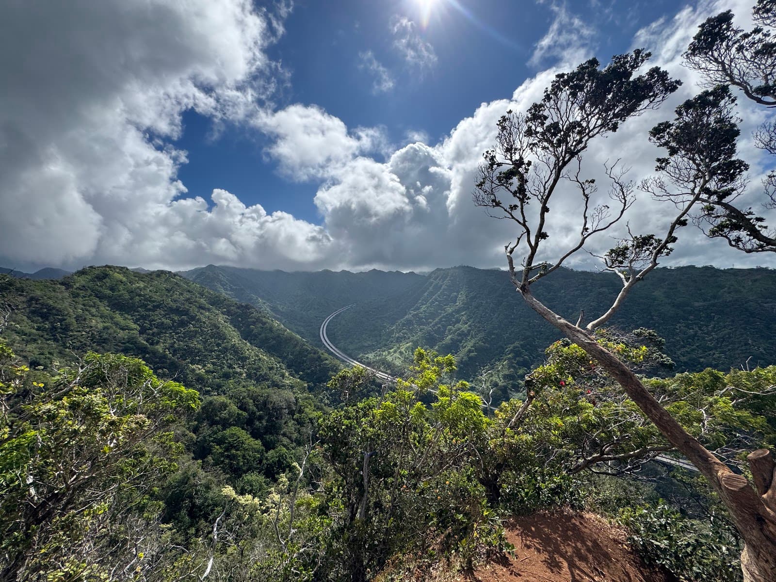 Aiea Loop Trail - Image 1