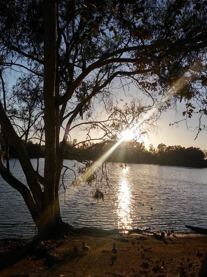 Playgrounds & Adventure Zones