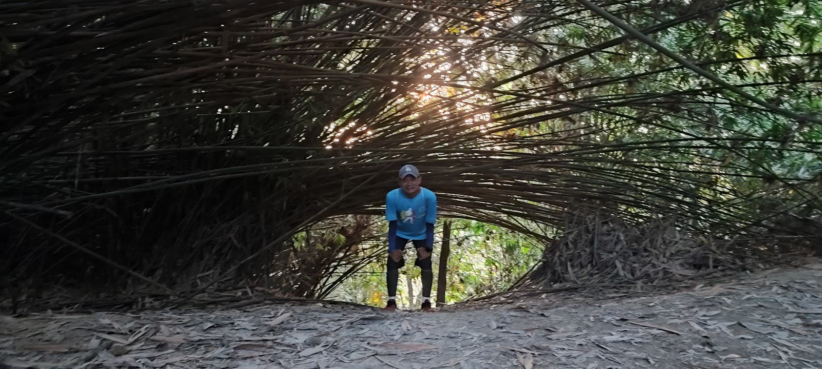 Bukit Kiara Trails Kuala Lumpur - Image 1