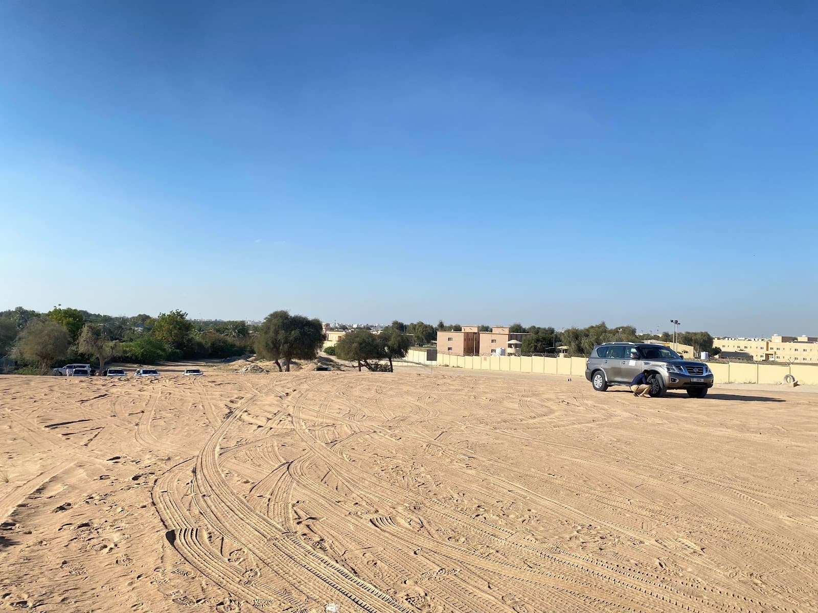 Desert Park by the Road - Image 1