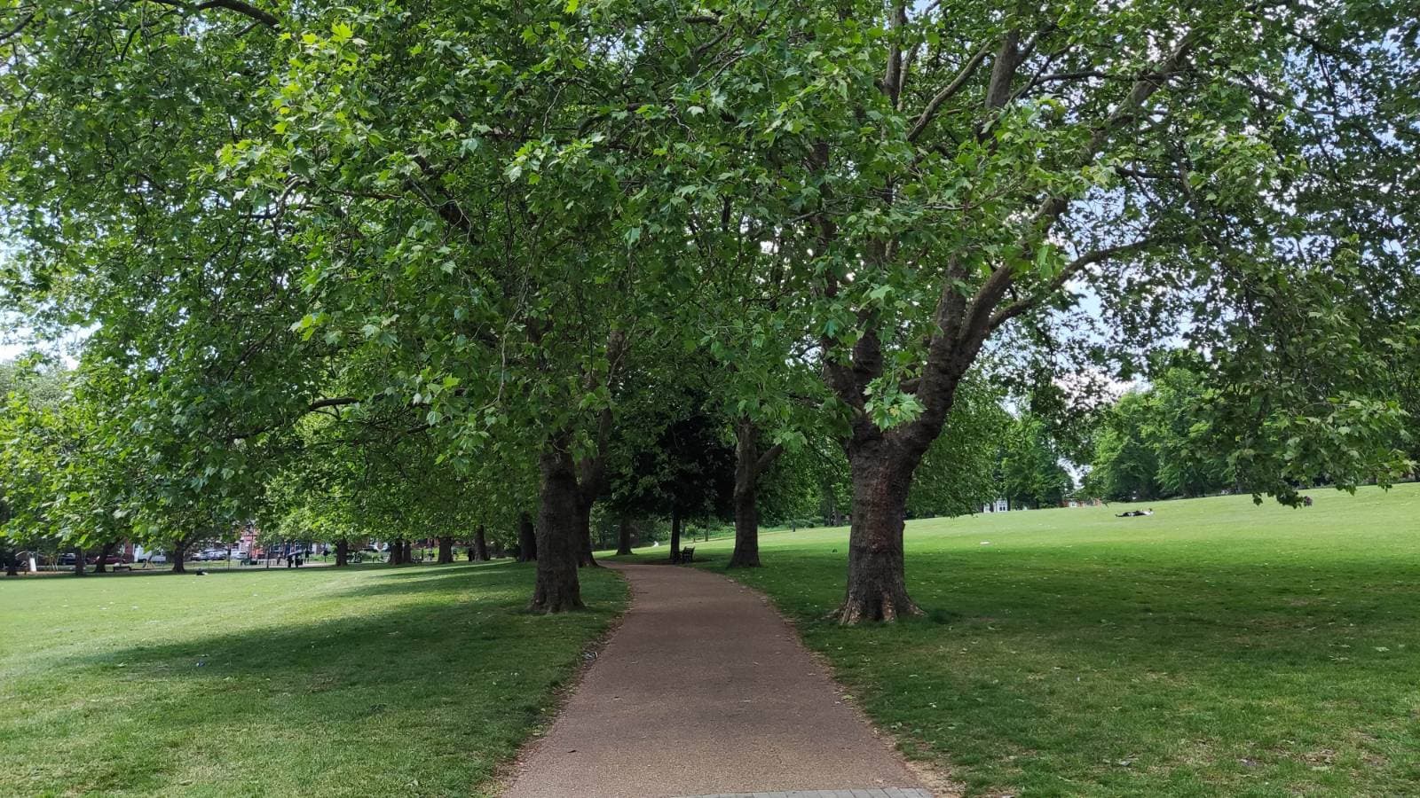 Spinney Hill Park - Image 1