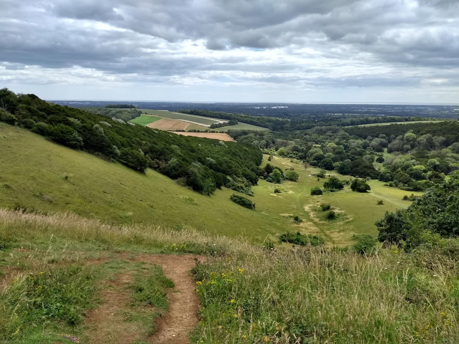 Kingley Vale National Nature Reserve - Image 1