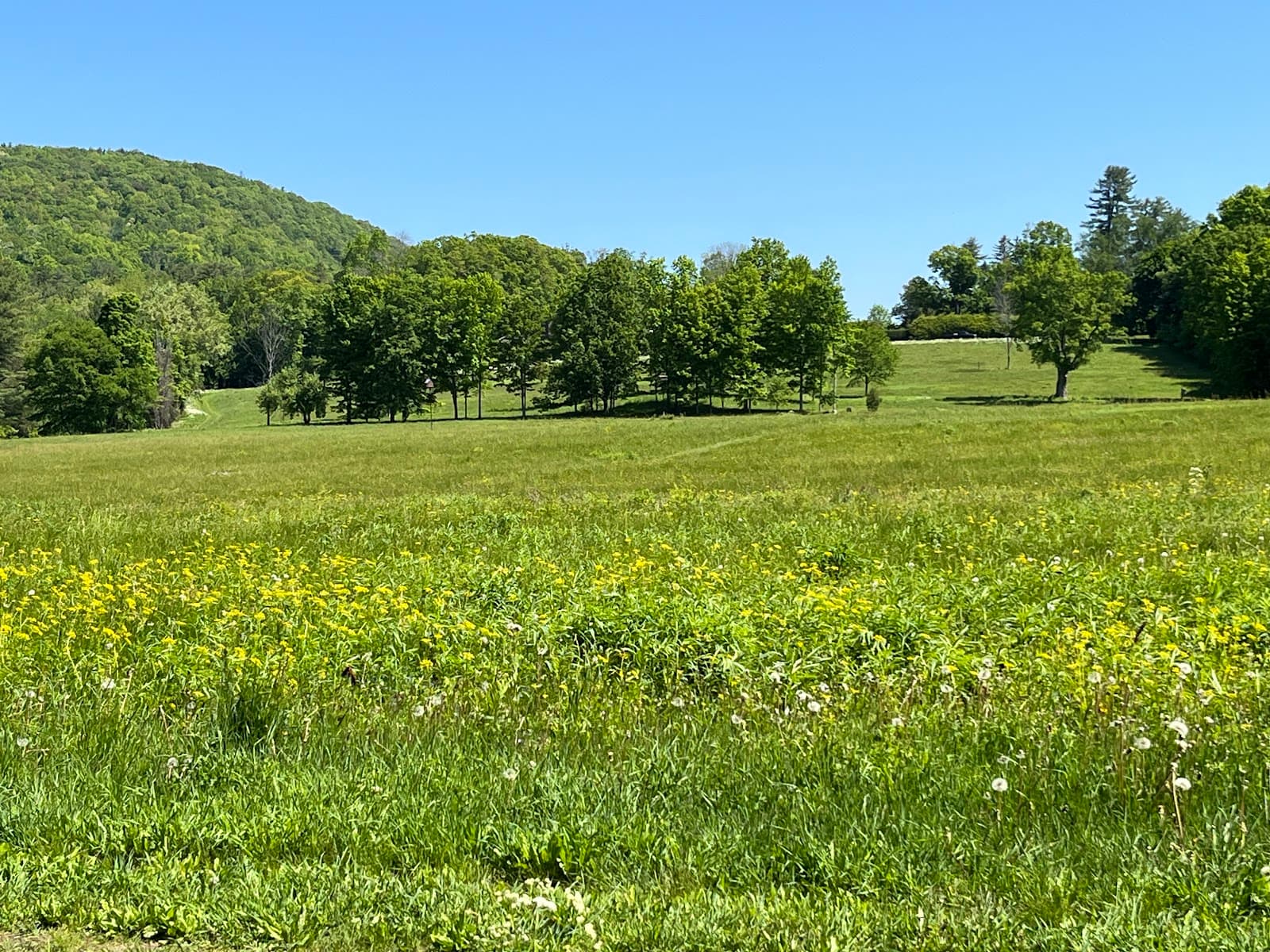 Gould Meadows - Image 1