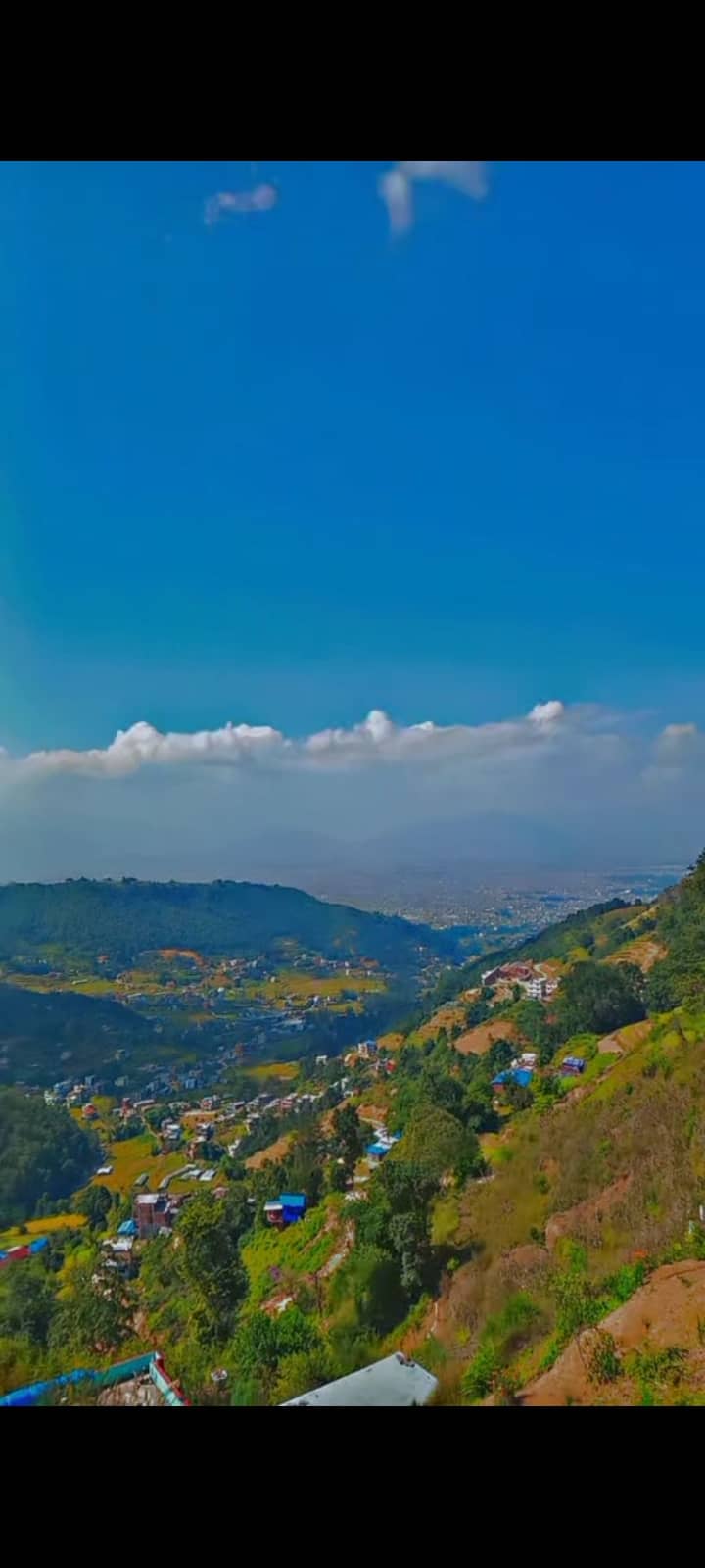 Vertical photo