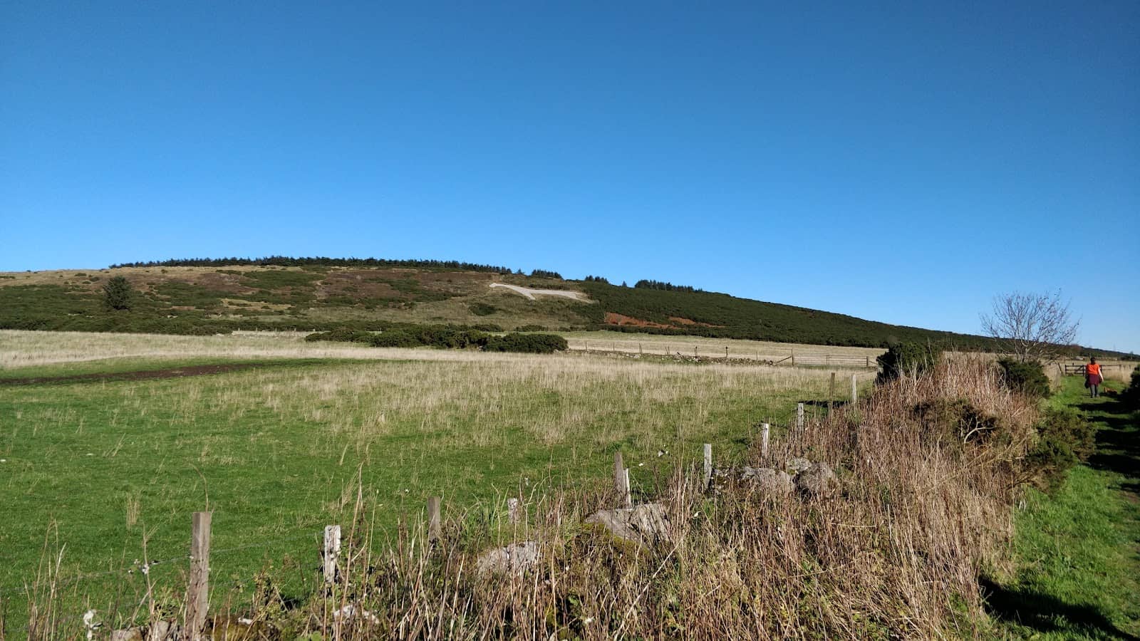 Family and Dog-Friendly Walk