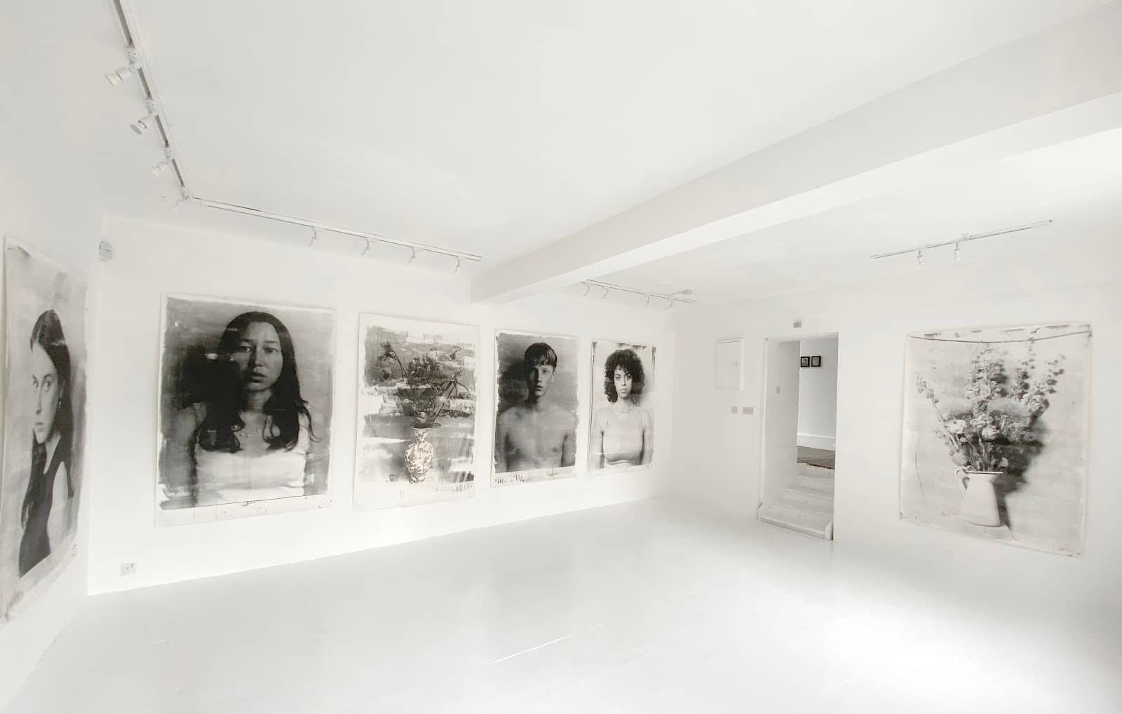 Pop Now & Lumps Shows