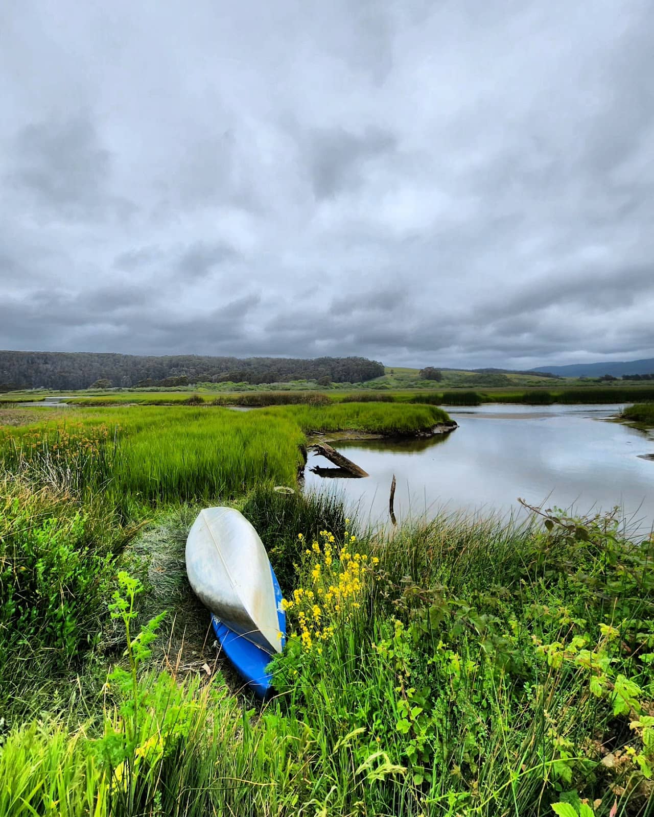 Coastal Views