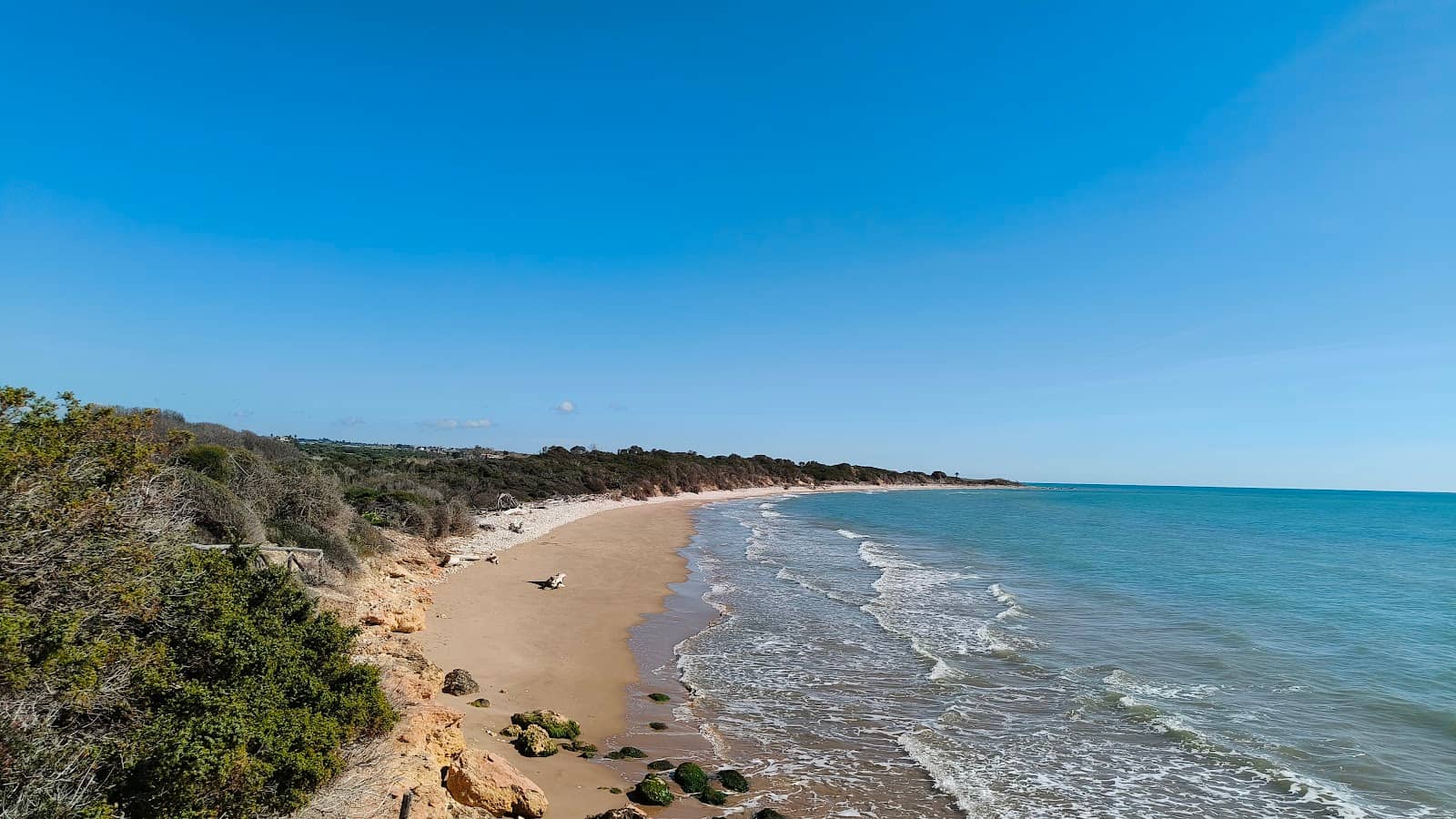 Coastal Walking Paths