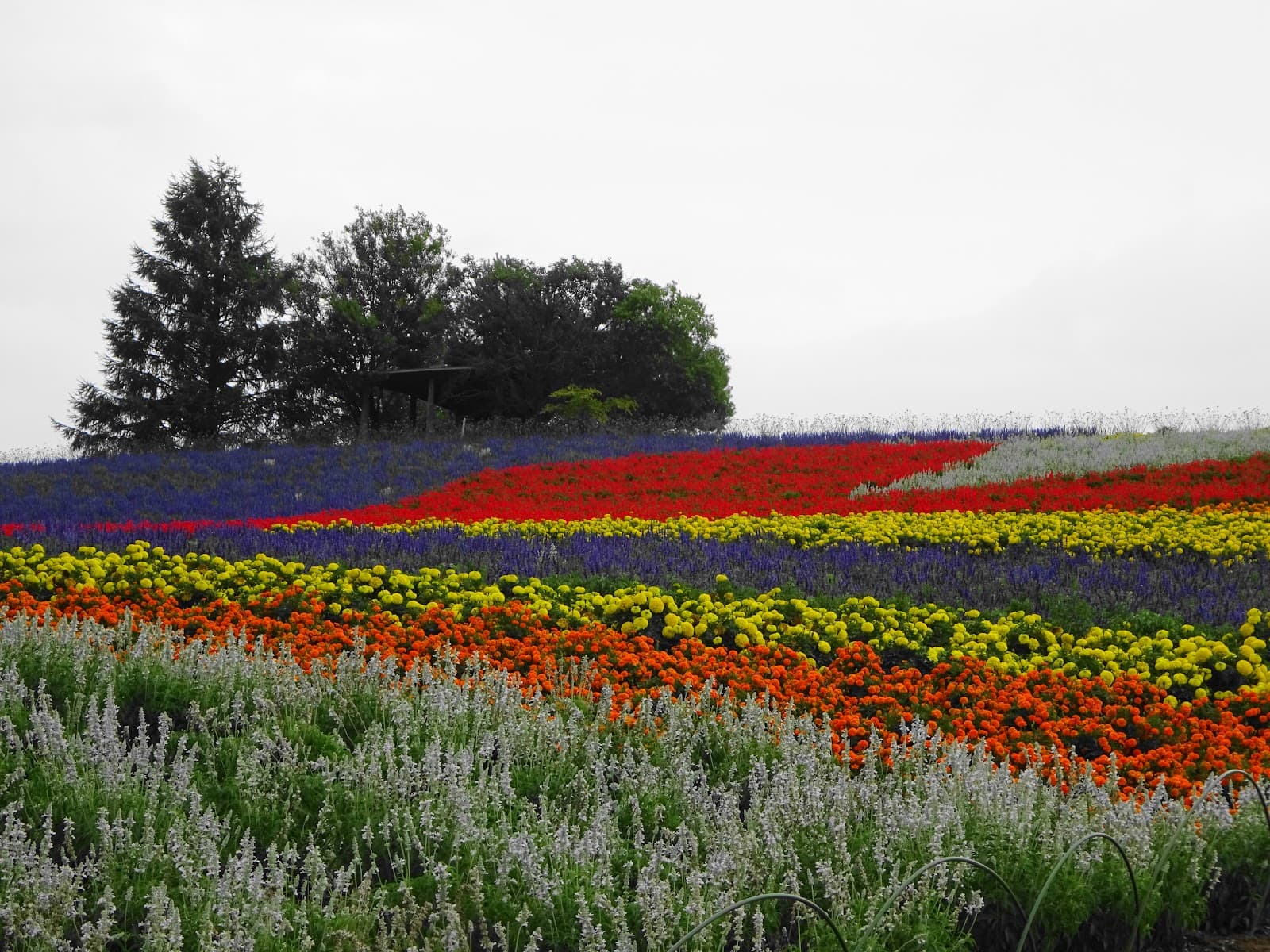 Kanno Farm - Image 1