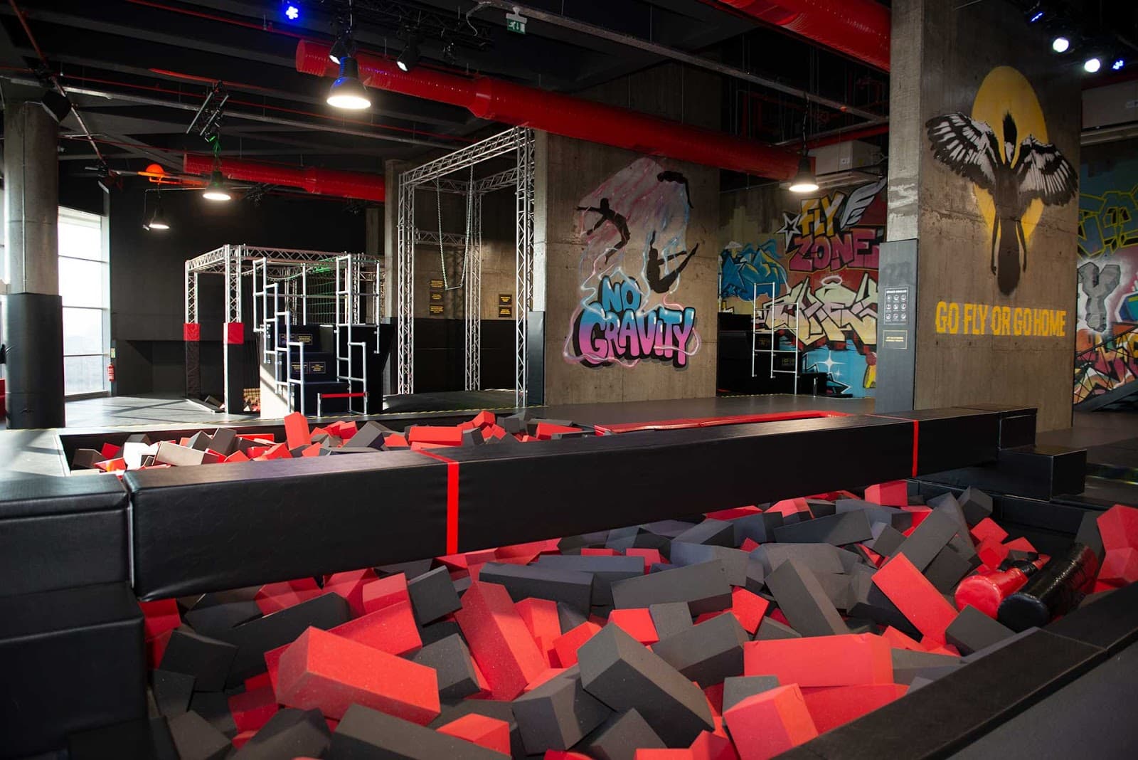 Flyzone - Image 1