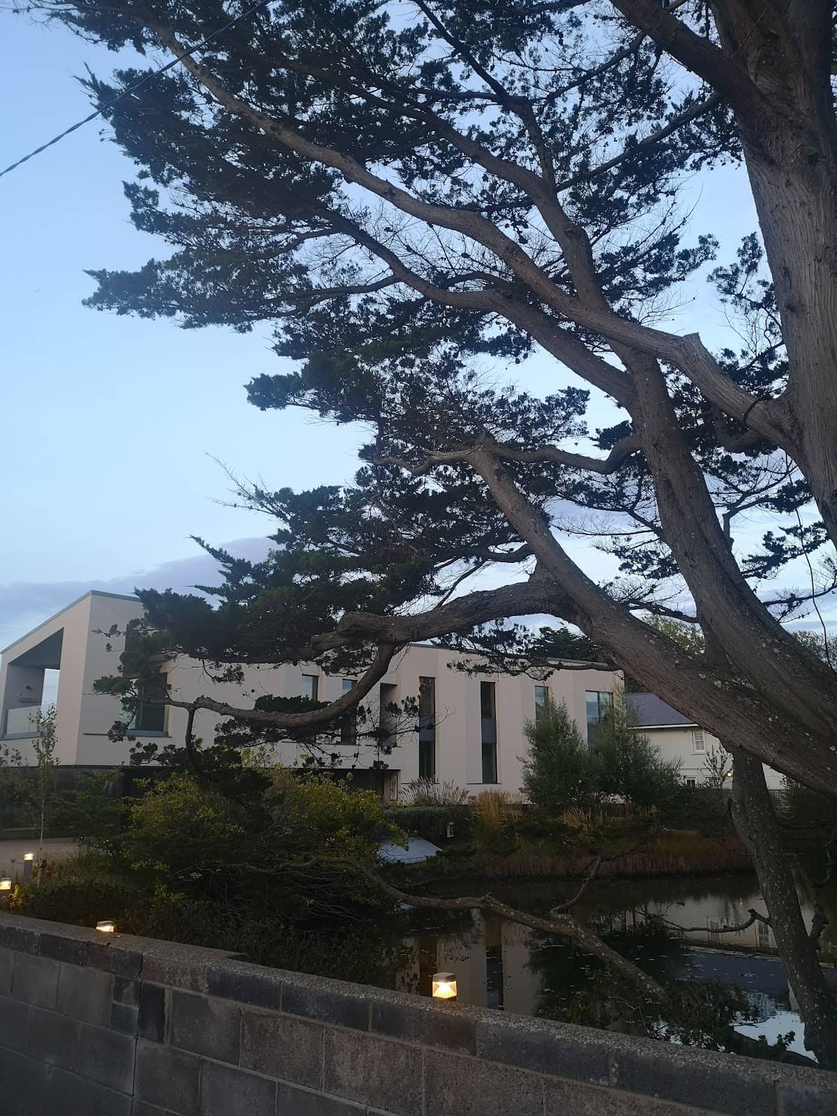 Local Bakeries and Cafes