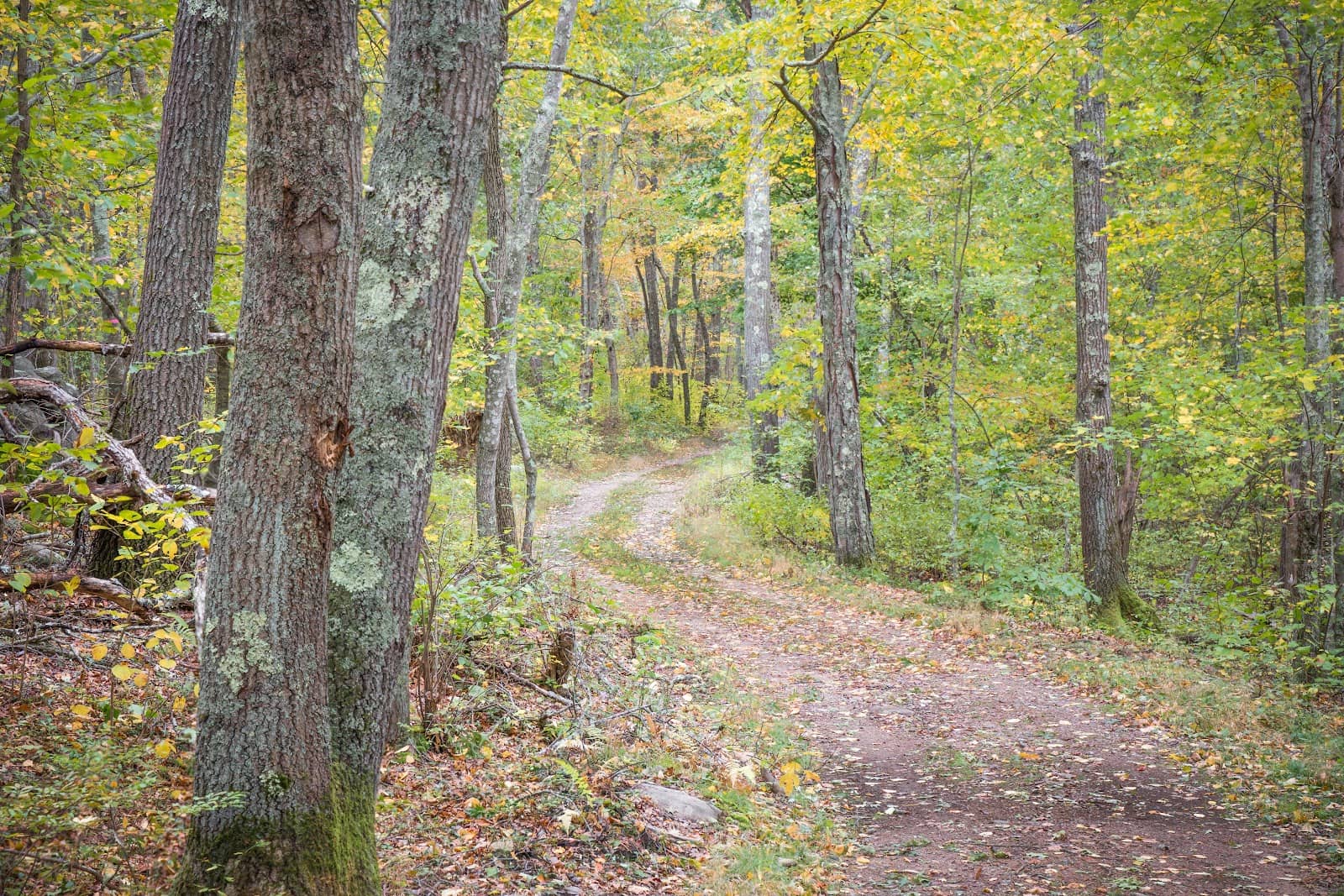 MTB Course Exploration