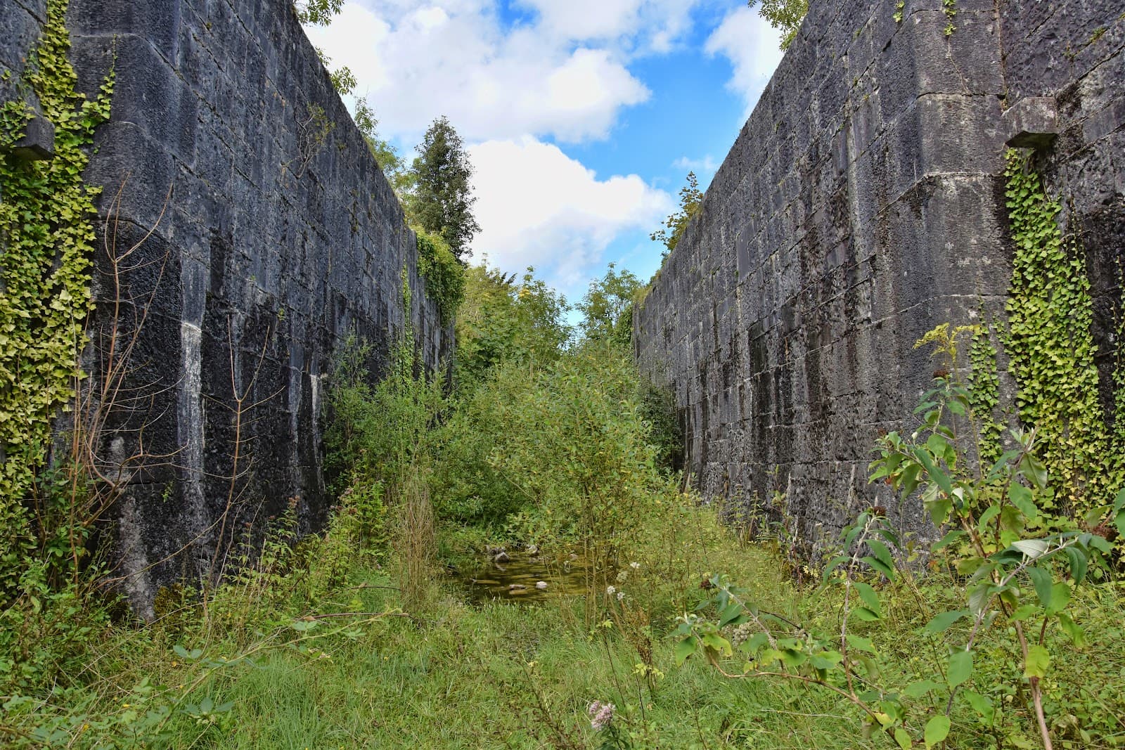 Cong Canal - Image 1