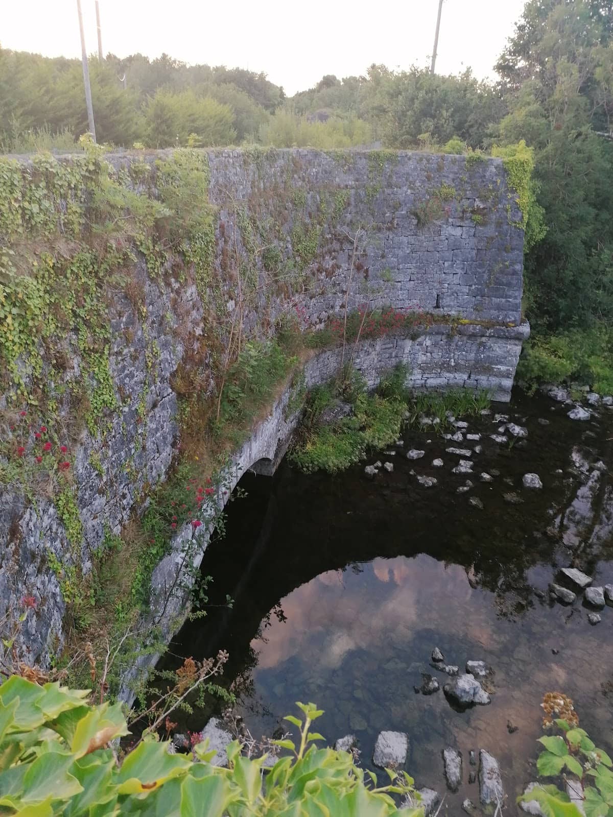 Vertical photo