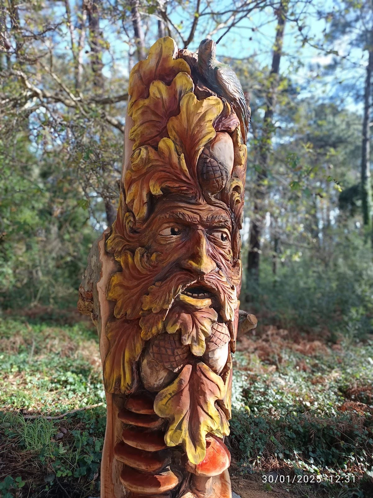 Aldea dos Grobits - Image 1