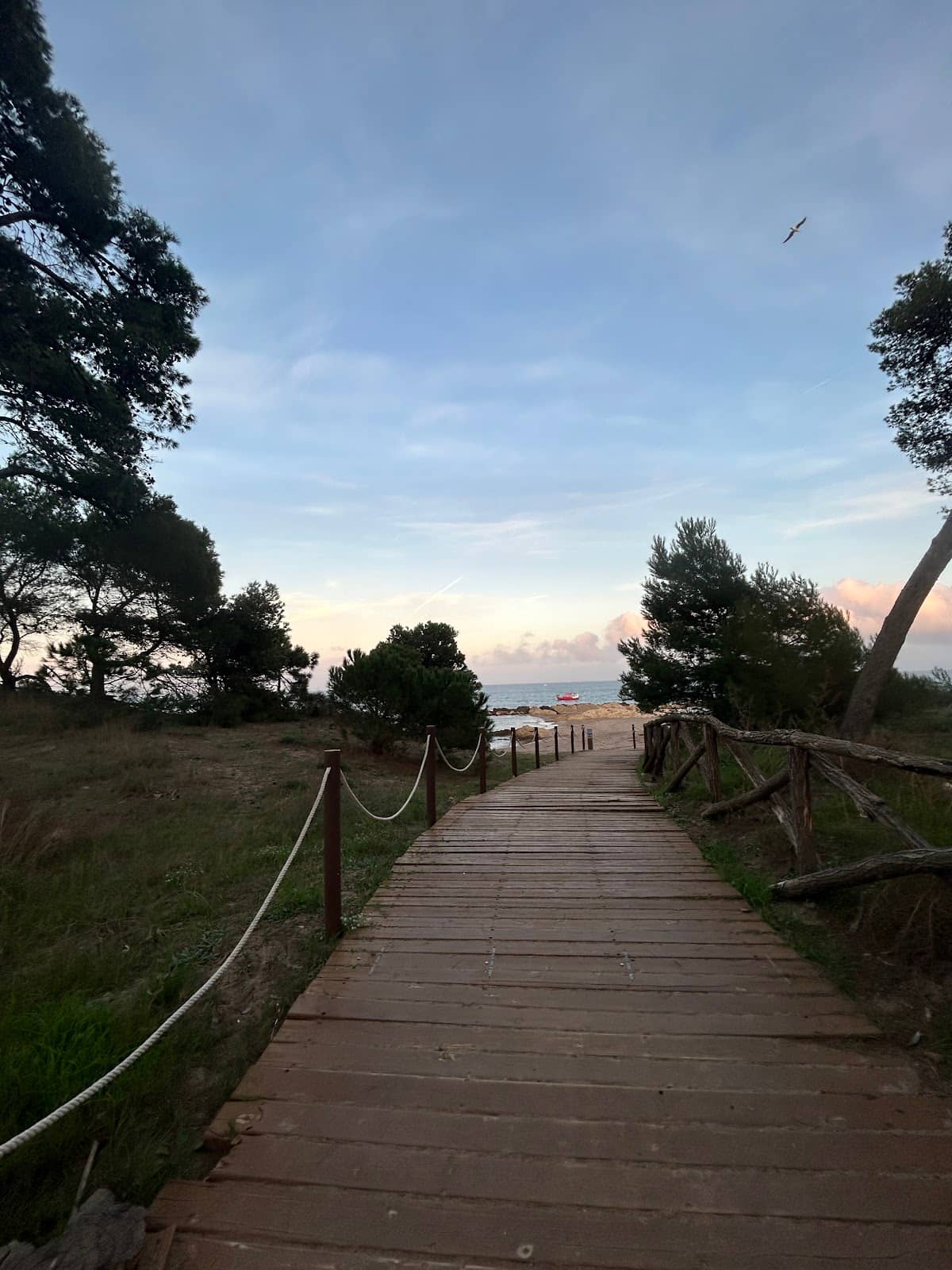 Platja de les Muscleres