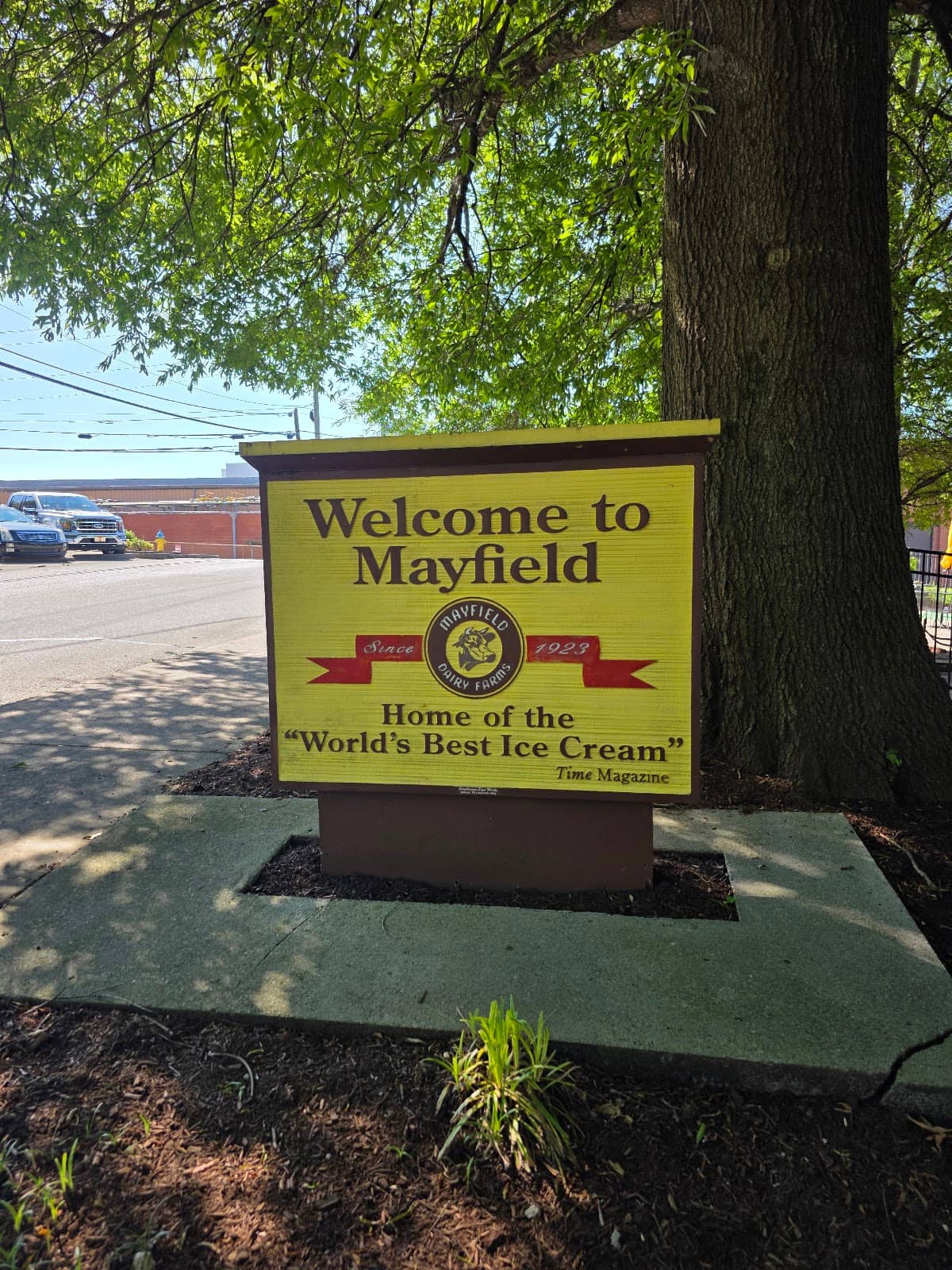 Friendly and Knowledgeable Staff