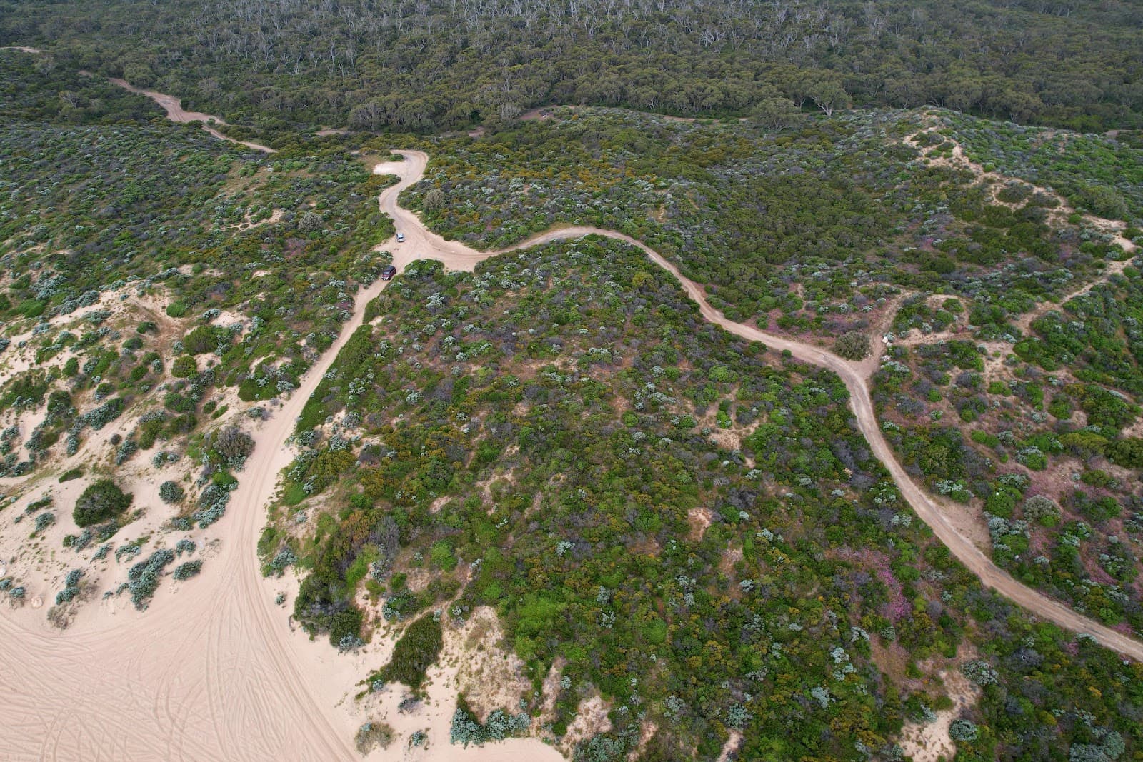 Tim's Thicket Beach - Image 1