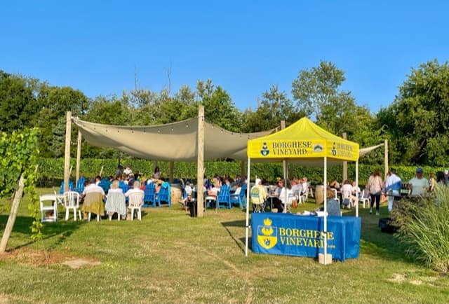 Castello di Borghese Vineyard - Image 1