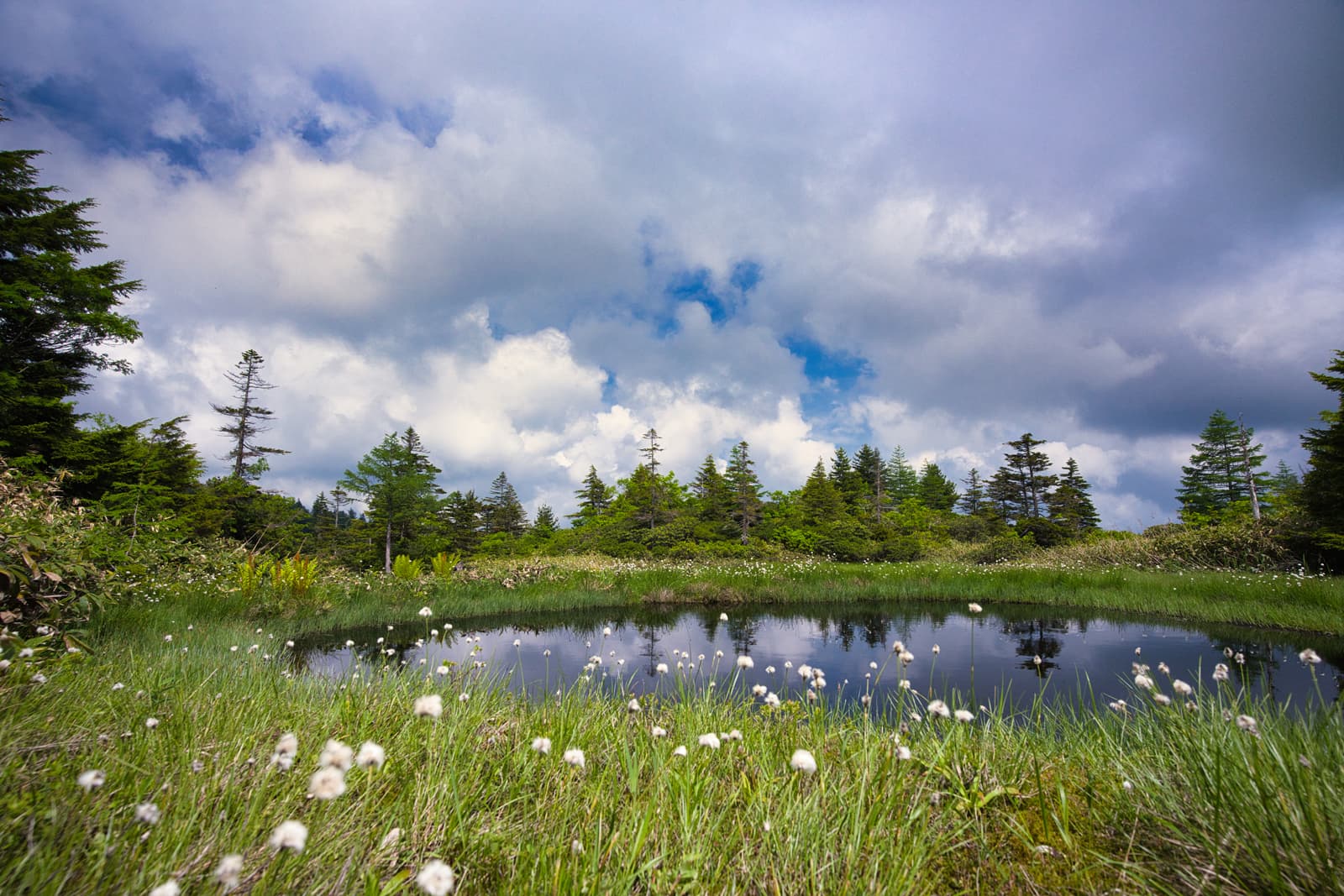 Yoshigadaira Wetlands - Image 1