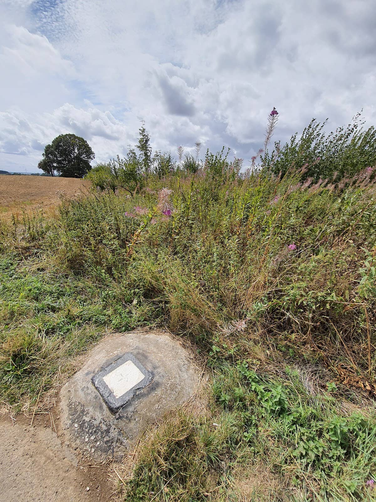 Peaceful Countryside