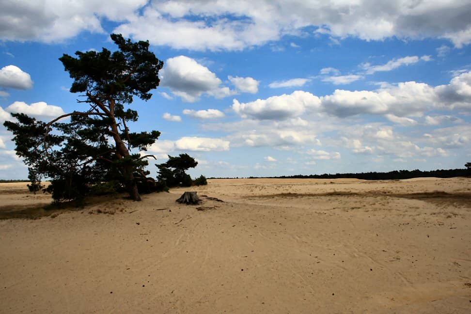 Diverse Landscapes