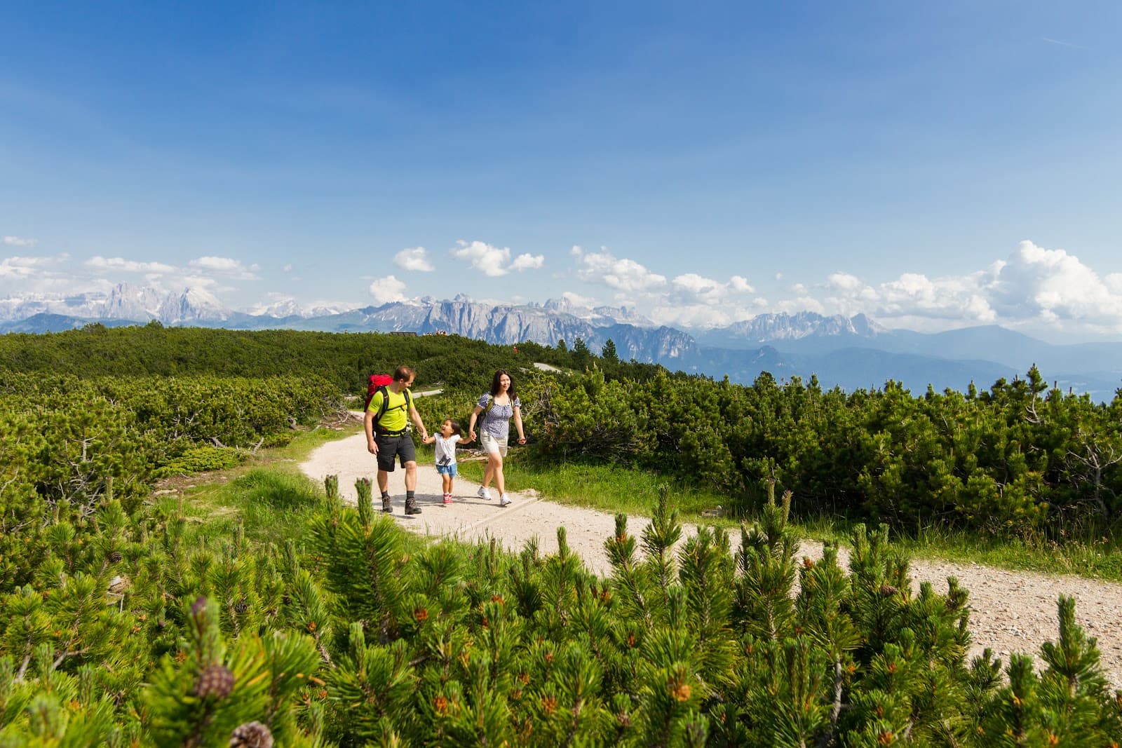 Rittner Horn Panorama Trail - Image 1
