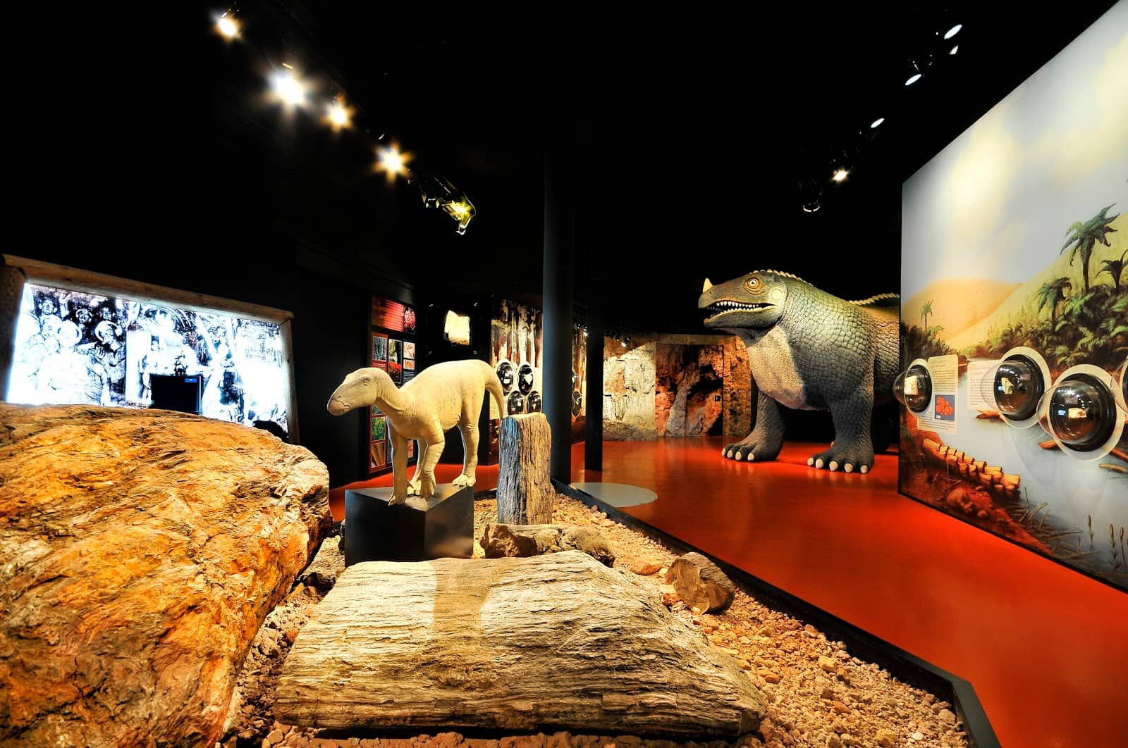 Paleontological Museum
