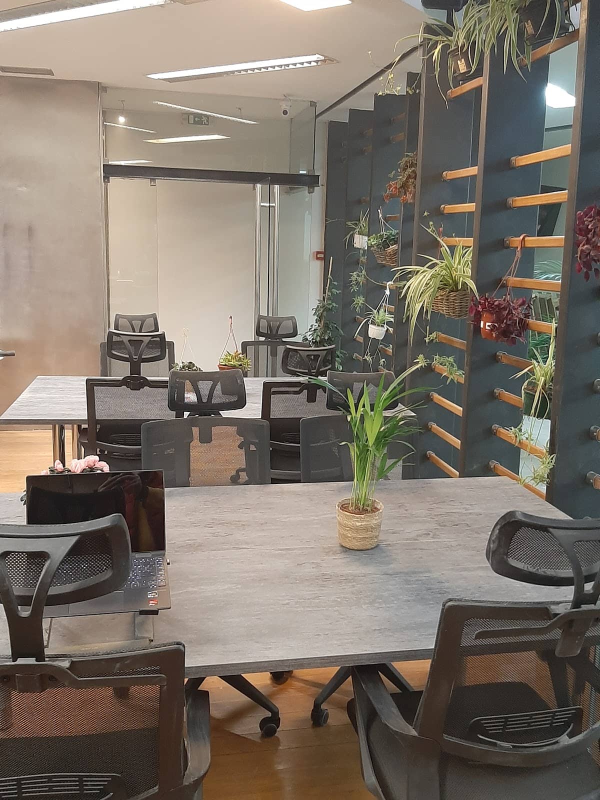 Friendly Canine Companions