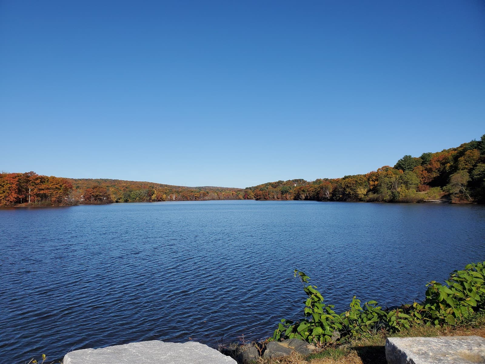 Coes Park (Coes Reservoir) - Image 1