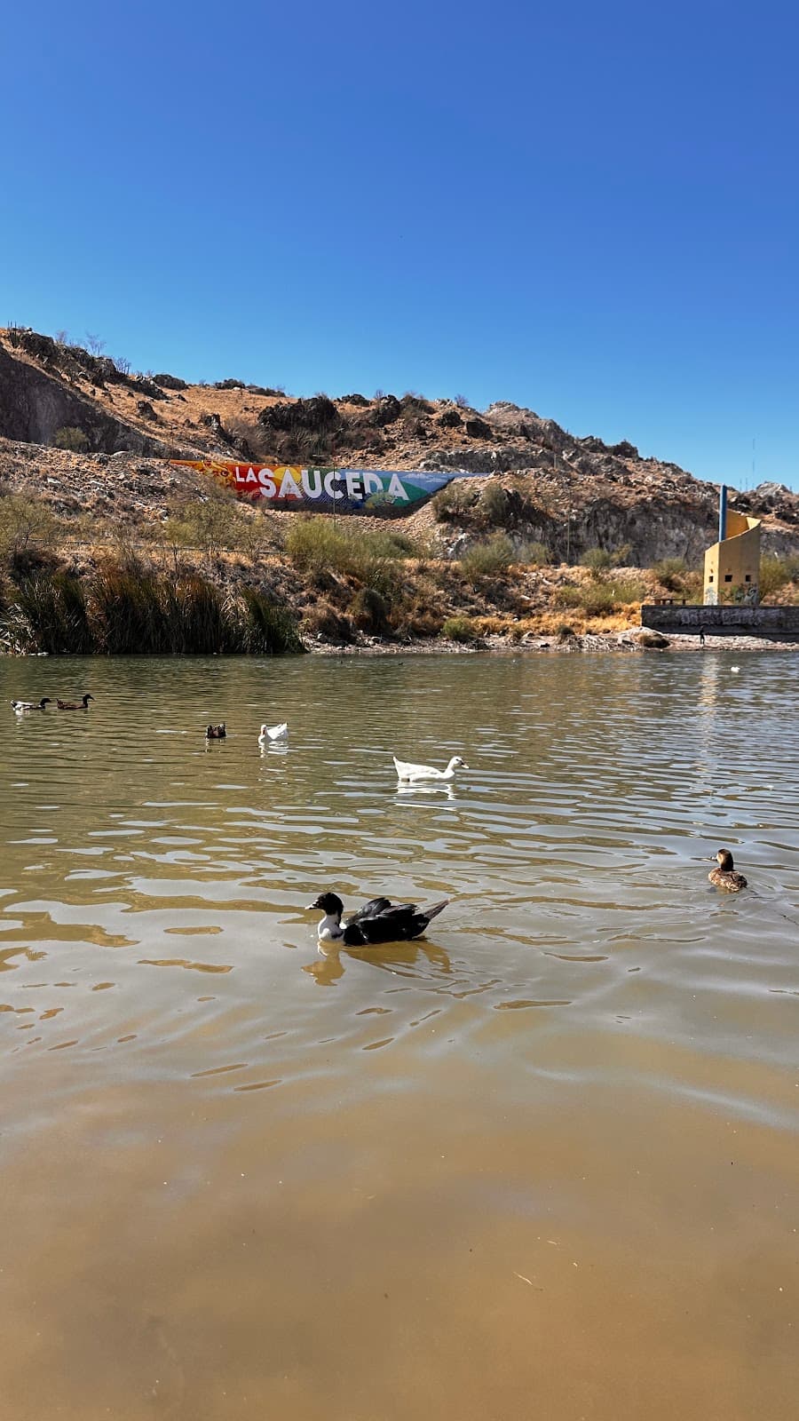 Parque La Sauceda - Image 1