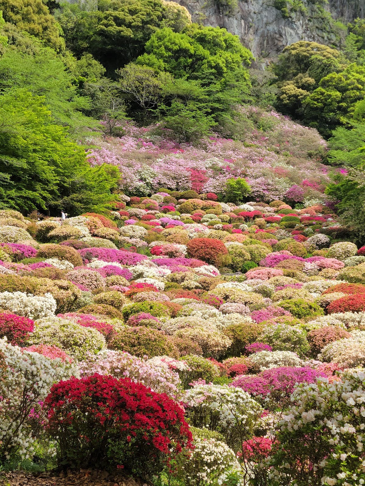 Mifuneyama Rakuen - Image 1