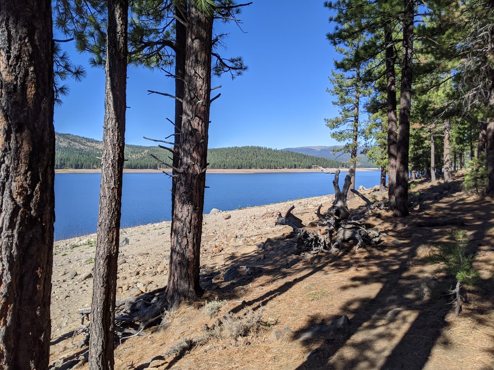 Stampede Reservoir - Image 1