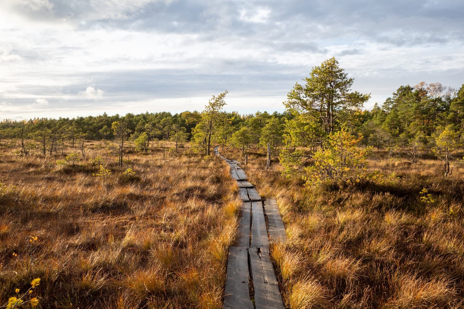 Valkmusa National Park - Image 1