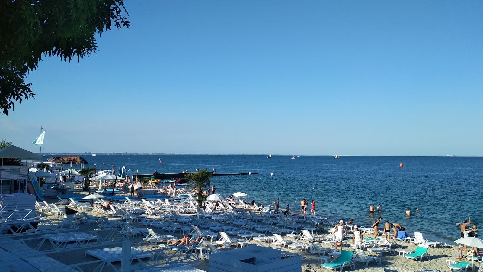 Dolphin Beach - Image 1