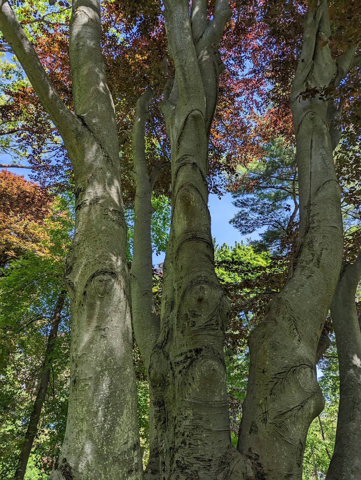Vertical photo