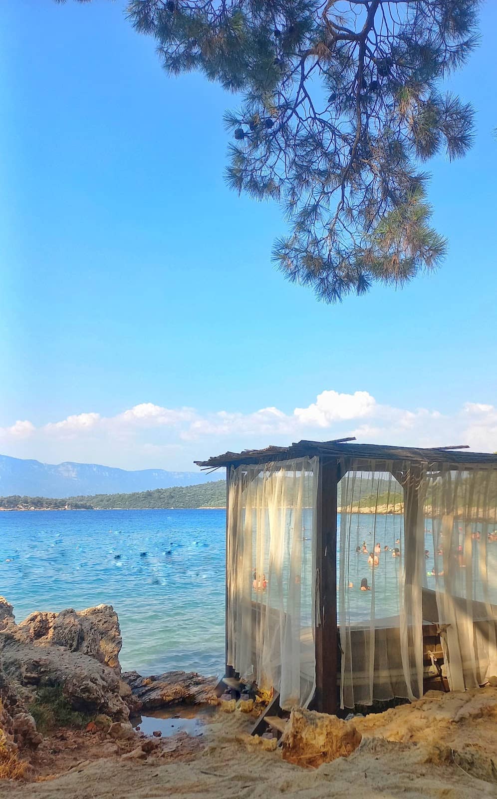 Unique Tractor Transfer