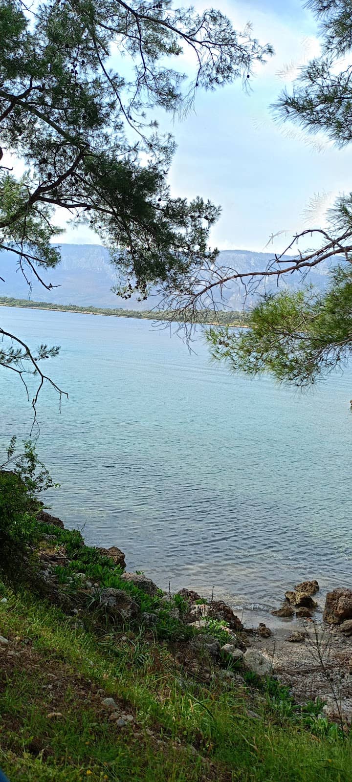 Vertical photo
