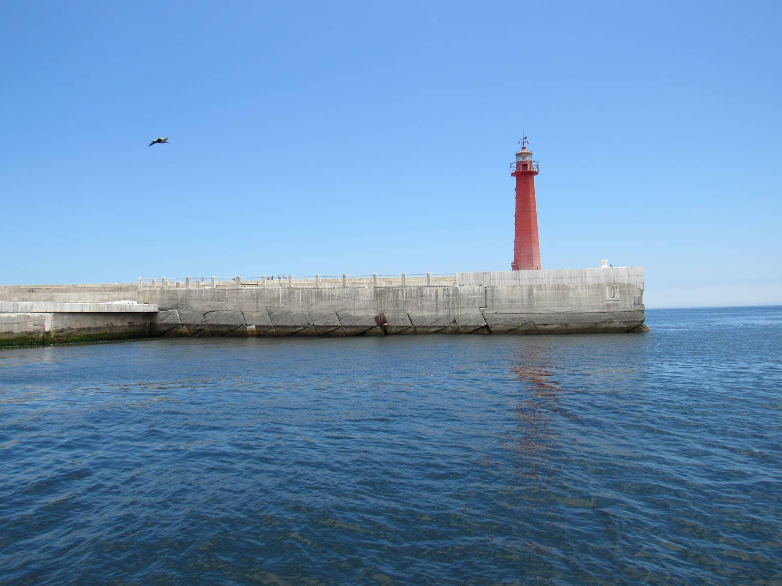 Local Eateries & Delivery